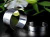 Camilla Wells Silver 01