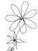 Helaina Sharpley Wirework 02